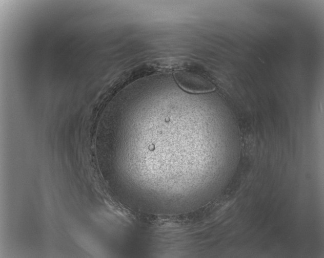 X0000060230913200511041226