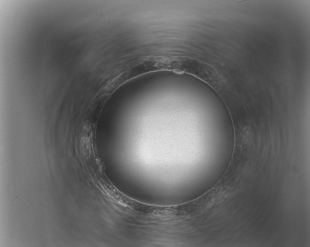 X0000060230914200511041226