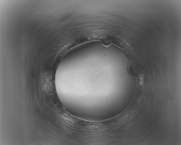 X0000060230915200511041226