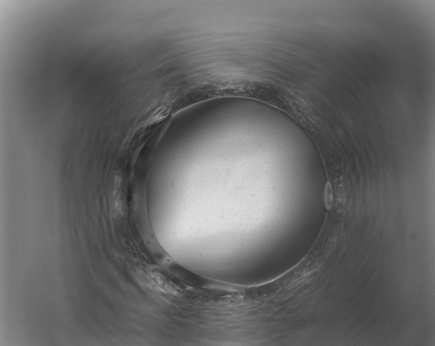 X0000060230916200511041226