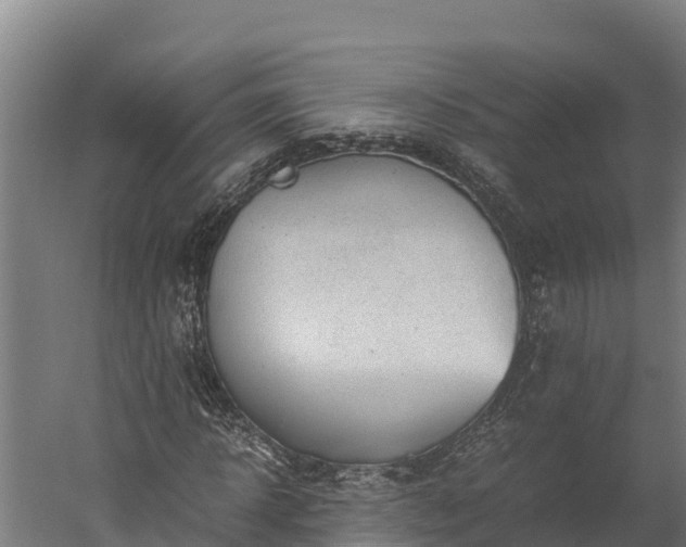 X0000060230918200511041226