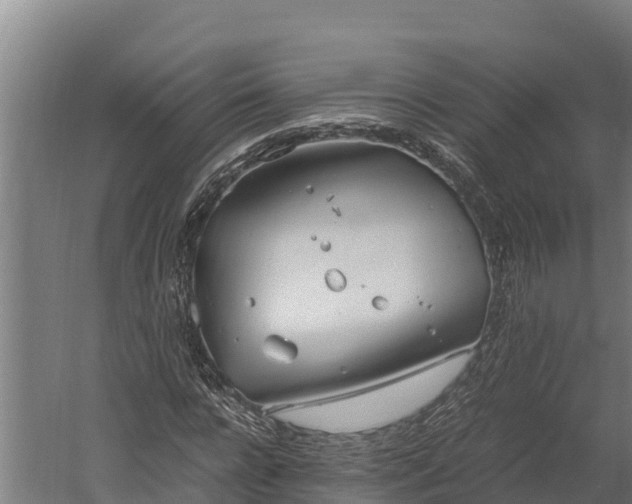 X0000060230920200511041227