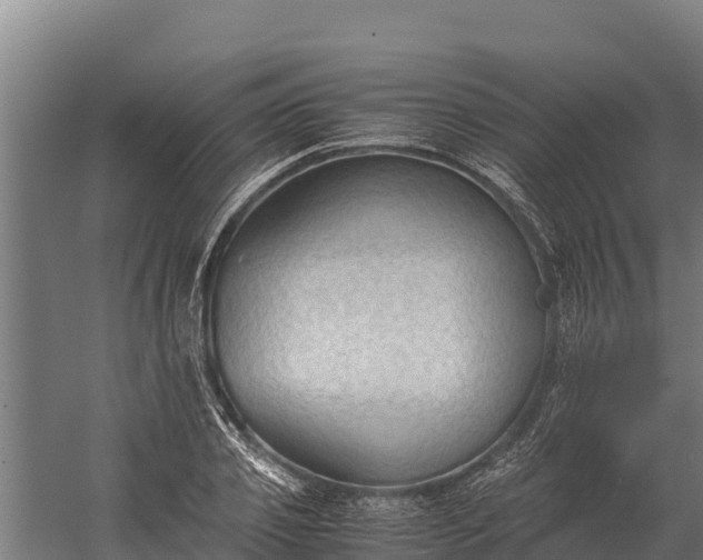 X0000060230933200511041227