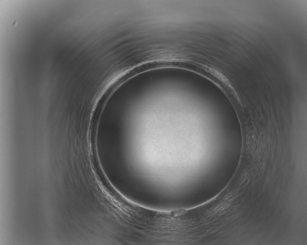 X0000060230935200511041227