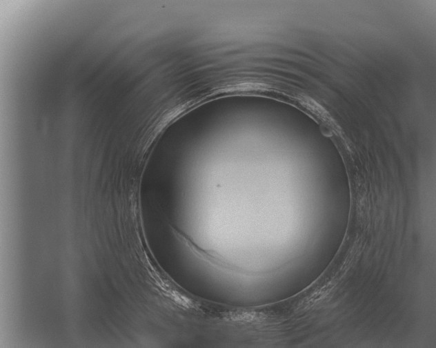 X0000060230945200511041227