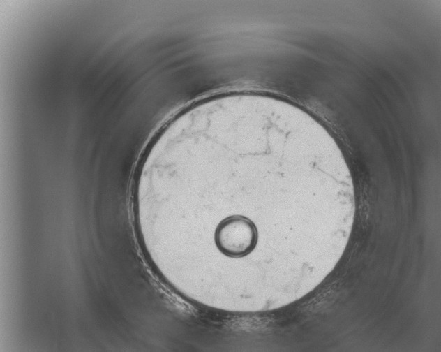 X0000060230950200511041227