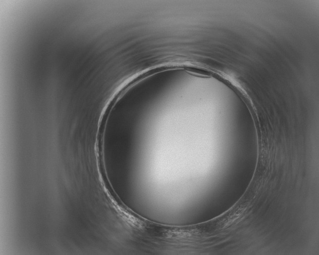 X0000060230951200511041227