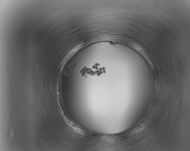 X0000060230954200511041227