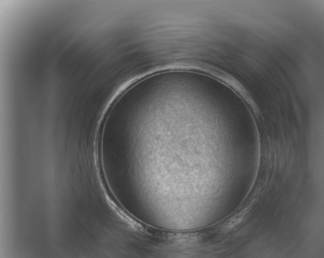 X0000060230958200511041227