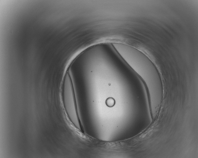 X0000060230960200511041227