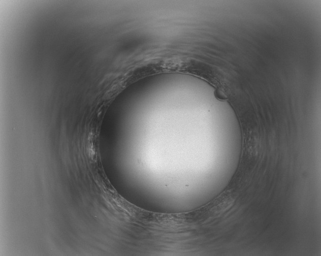 X0000060230962200511041226