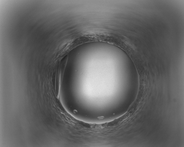 X0000060230965200511041226