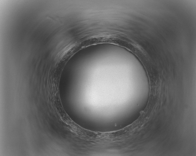 X0000060230967200511041226