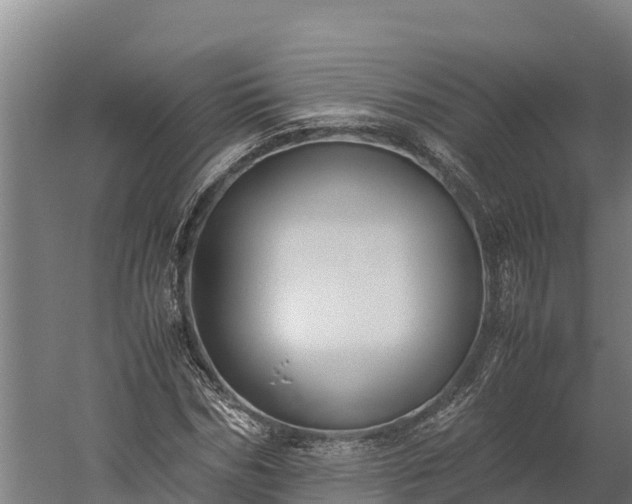 X0000060230970200511041226