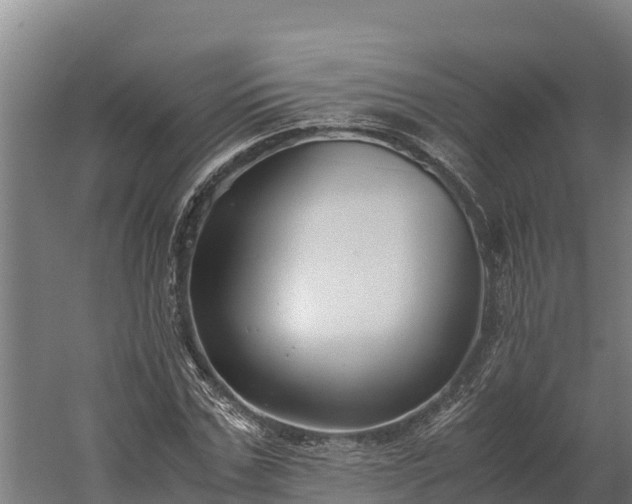 X0000060230971200511041226