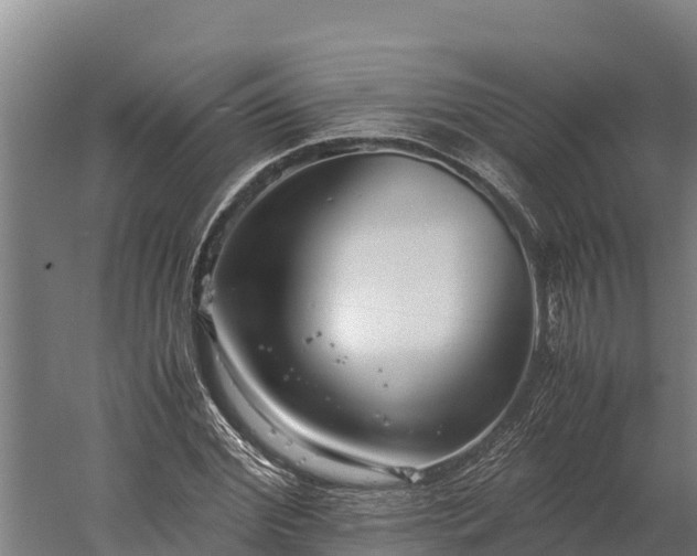 X0000060230972200511041226