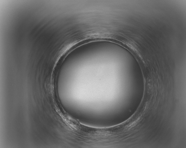 X0000060230981200511041226