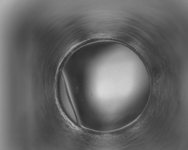 X0000060230992200511041226