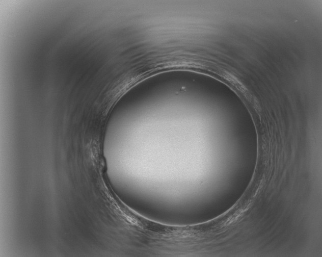 X0000060230993200511041226