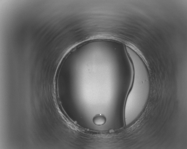 X0000060230996200511041226