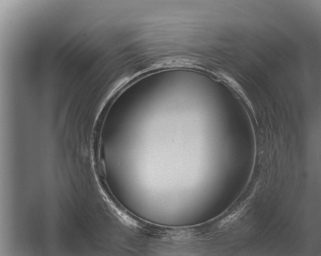 X0000060230997200511041226