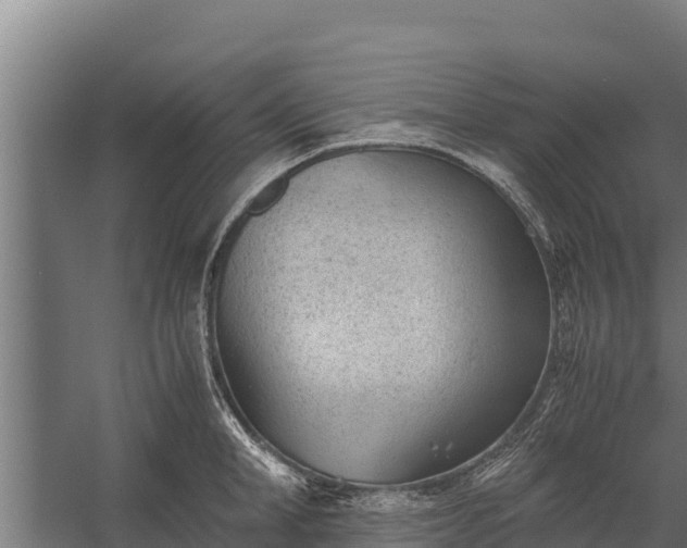 X0000060230998200511041226