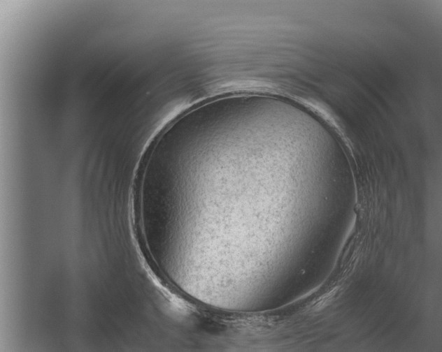 X0000060230999200511041226