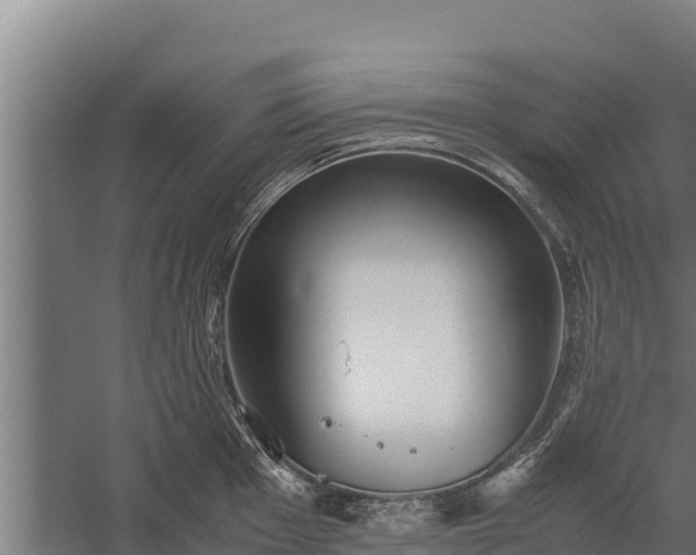 X0000060231001200511041226