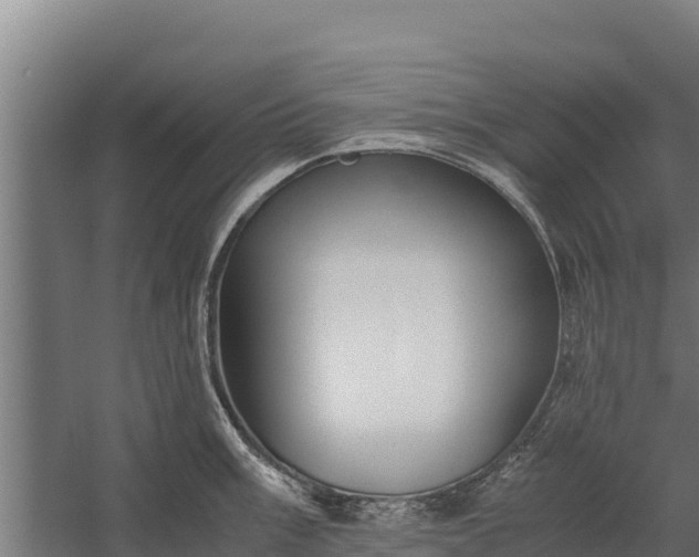 X0000060231003200511041226