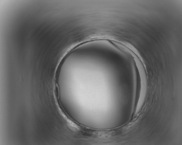 X0000060231005200511041226