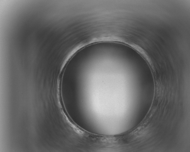 X0000060231006200511041226