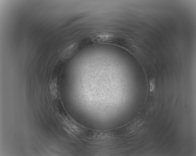 X0000060231011200511041225