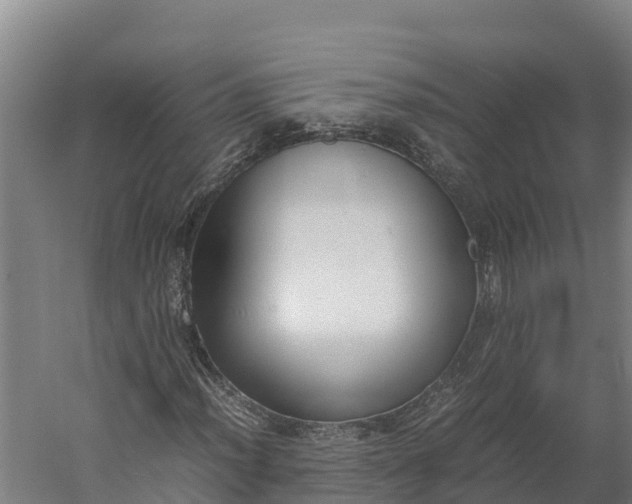 X0000060231012200511041225