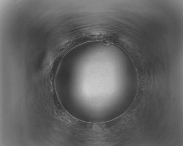 X0000060231013200511041225