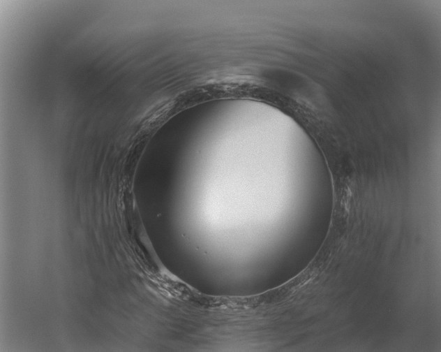 X0000060231014200511041225