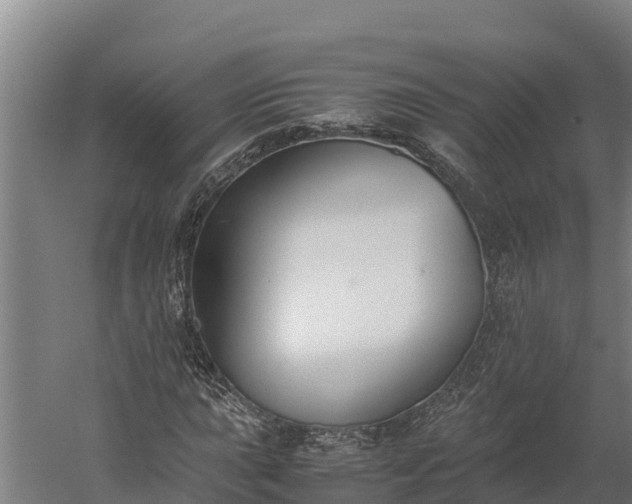 X0000060231015200511041225