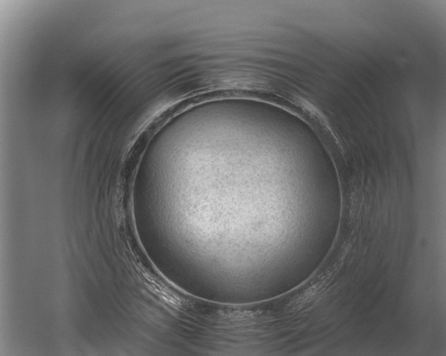 X0000060231019200511041225