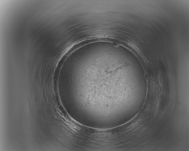 X0000060231023200511041225