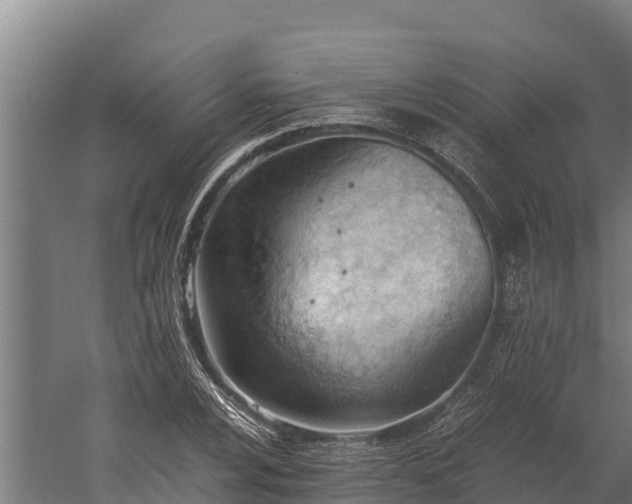 X0000060231024200511041225