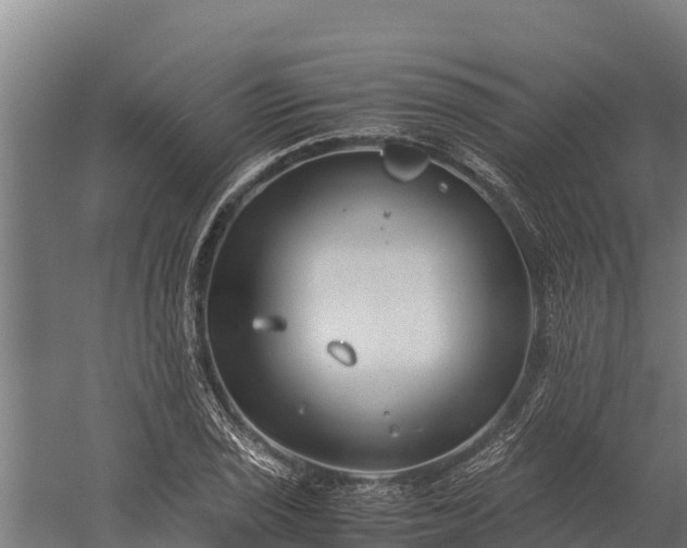 X0000060231029200511041225