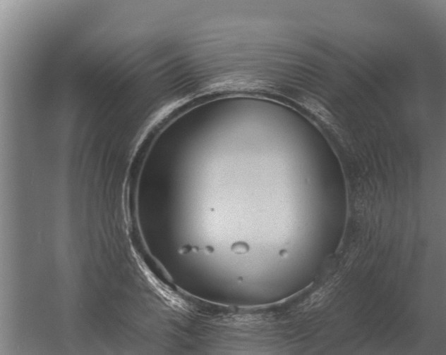 X0000060231030200511041225