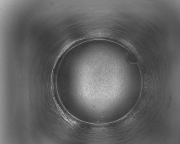 X0000060231031200511041225