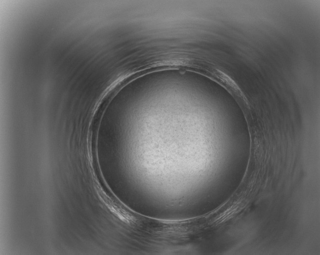 X0000060231035200511041225