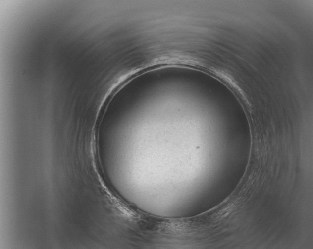 X0000060231040200511041225