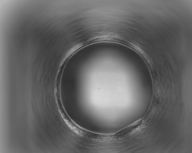 X0000060231042200511041225