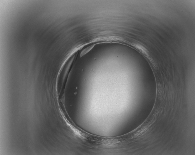 X0000060231046200511041225