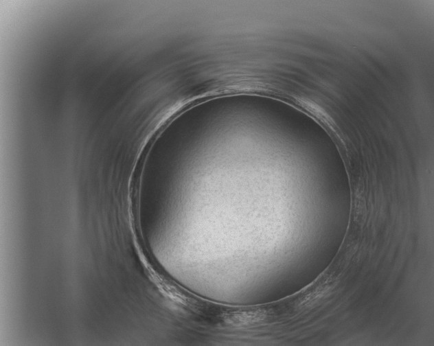 X0000060231047200511041225