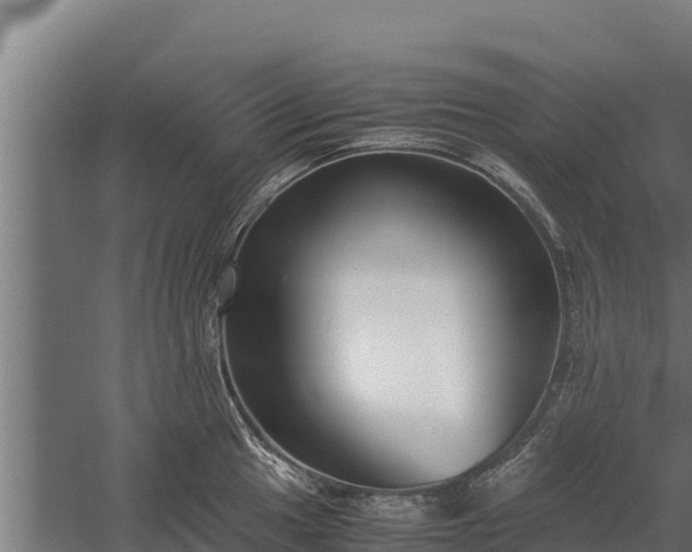 X0000060231049200511041225