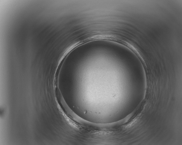 X0000060231050200511041225