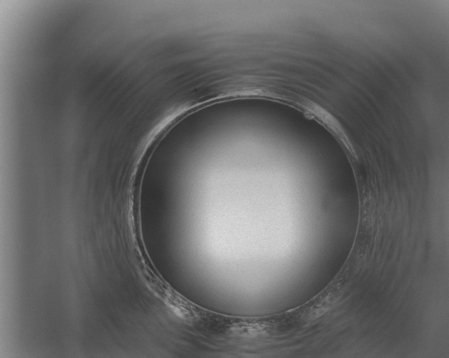 X0000060231051200511041225